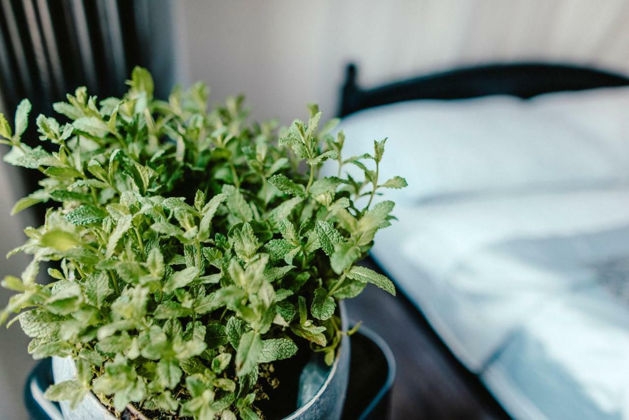 Wake Up Wellness Hostel Μπρνο Εξωτερικό φωτογραφία