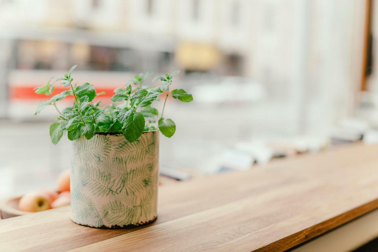 Wake Up Wellness Hostel Μπρνο Εξωτερικό φωτογραφία
